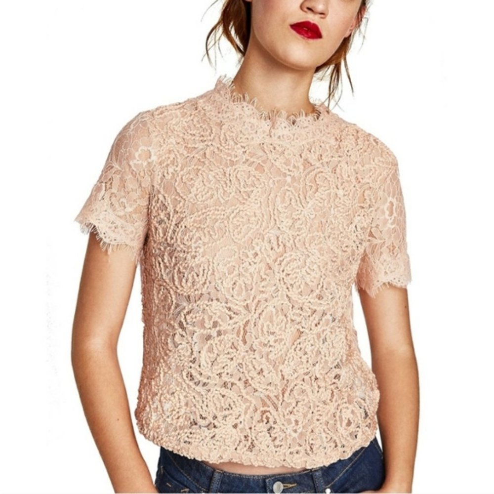 Zara Blush Pink Lace Short Sleeve Top
